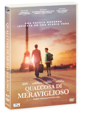 Couverture Qualcosa di meraviglioso