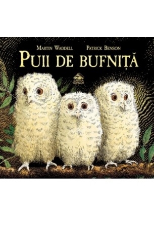 Miniatura copertina