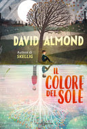 Copertina  Il colore del sole