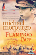 Couverture Flamingo boy