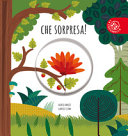 Couverture Che sorpresa!
