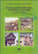 Couverture Paesaggio di pietra, alberi e colore : l'architettura tradizionale nel Verbano-Cusio-Ossola