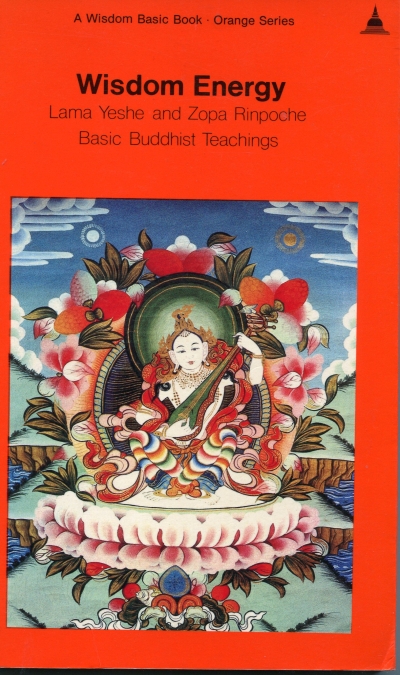 Couverture Wisdom energy :  basic Buddhist teachings 