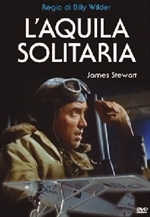 Couverture L'aquila solitaria