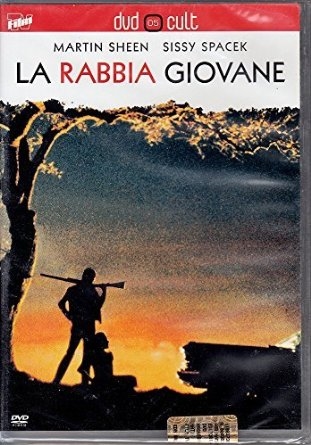 Couverture La rabbia giovane