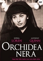 Couverture Orchidea nera