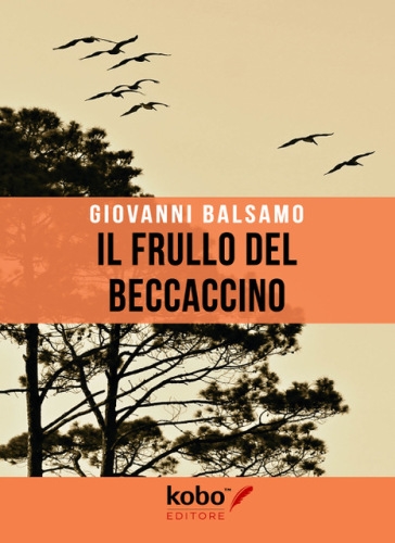 Copertina  Il frullo del beccaccino