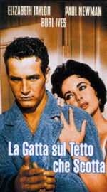 Couverture La gatta sul tetto che scotta [Risorsa elettronica]
